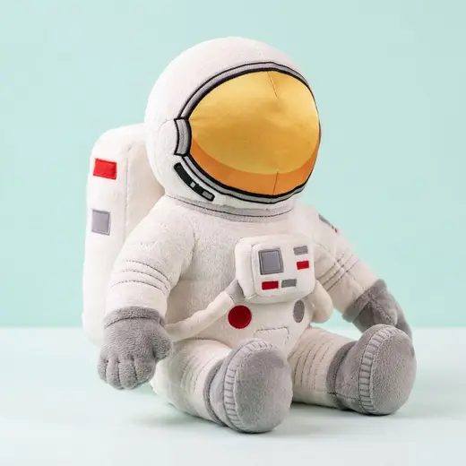 Plush toy: an example result